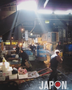 Série « Il était une fois Tsukiji » vol.1