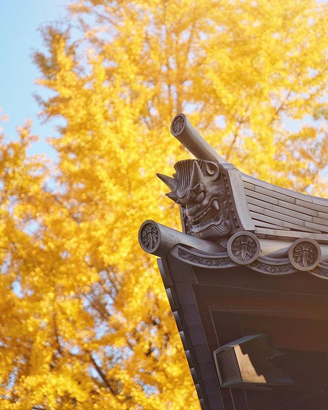 Les ogres protecteurs du Shofukuji de Fukuoka sous la lumière d’automne, définitivement ma saison préférée au Japon.