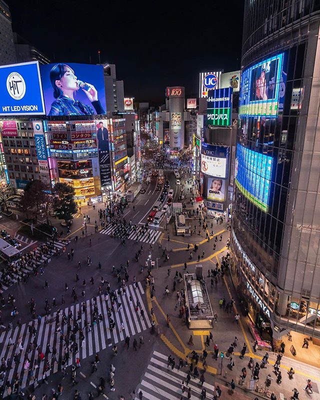 Tokyo Geometry