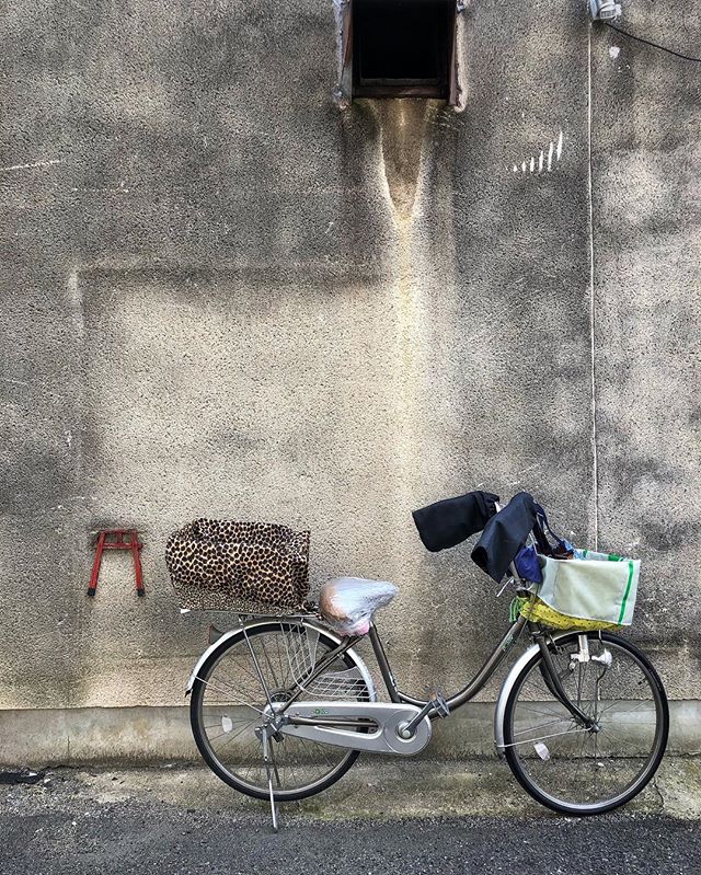 À Osaka, les mamies à vélo des quartiers populaires cultivent la classe jusque dans leur panier :) #osakasafari #japonsafari 
#osaka🇯🇵 #大阪 #大阪観光 #discoverosaka 
#streetshootjapan #japanese_retro