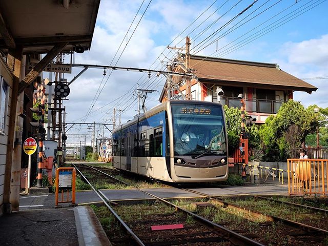 Les rames modernes du tram de la Hankai, dans le sud d’Osaka
#osakasafari #japonsafarai #discoverosaka