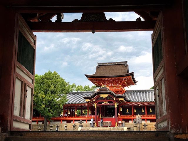 Le sanctuaire Iwashimizu Hachimangu est un des plus importants parmi ceux dédiés au Kami Hachiman. Ce type de shinto un peu particulier est étroitement lié à la famille impériale. 
#japonsafari #kyotosafari
