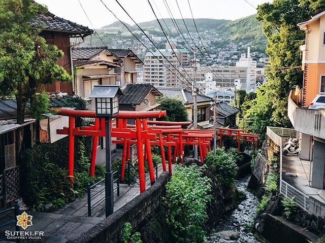 L’une des choses que j’ai beaucoup apprécié à Nagasaki, c’est sa verticalité et son côté sinueux !

Contrairement à Kyoto qui est globalement plate et carrée, Nagasaki est plus « sauvage ». Il y a beaucoup de relief et les rues partent dans tous les sens avec beaucoup de petits chemins comme celui ci.

Rajoutez une petite allée de torii au milieu des quartiers résidentiels et vous obtenez un mélange des genres assez sympathique, et encore une fois très diffèrent de ce que j’ai l’habitude de voir !
.
.
.
.
.
#japanfocus #japantravel #japan_vacations #visitnagasaki #ilovejapan #ilovenagasaki #art_of_japan_ #japanawaits #super_japan_channel #visitjapanjp #igersjp #igersjapan #Lovers_Nippon #explorejapan #explorejpn #bestjapanpics #discoverjapan #discovernagasaki #olympuscamera #olympusphotography #getolympus #olympusinspired #japanesetemple #長崎 #長崎旅行 #長崎観光 #日本を休もう #そうだ長崎行こう #日本旅行