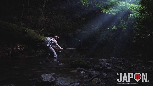 La pêche en pleine forêt dans la région d’Ehime 😍 #fishing #forest #japan #ehime