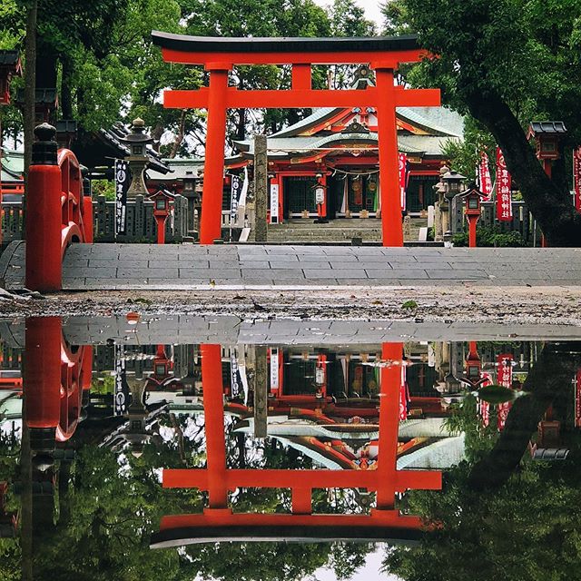 Après la pluie, il y a deux fois plus de Torii 
#osakasafari #japonsafari #discoverosaka