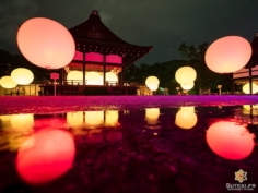 Après le petit break du week-end, je vous remet une photo des grosses bouboules illuminées !

Je vous avais dit avoir choisit y être allé un jour de pluie, c’était car je comptais bien faire mumuse avec les flaques d’eau !

Il y en avait malheureusement peu mais celle-ci a fait l’affaire !

Et encore une fois il a fallu faire preuve de patience pour n’avoir personne dessus !

Vous êtes prêt à attendre combien de temps pour une photo ? ^^
.
.
.
.
.
#teamlab #discoverkyoto #ilovekyoto #reflection_shotz #japaneseshrine #getolympus #olympusinspired #night_shooterz #kyotogram #explorejapan #そうだ京都行こう #京都 #京都旅 #京都好き #日本を休もう