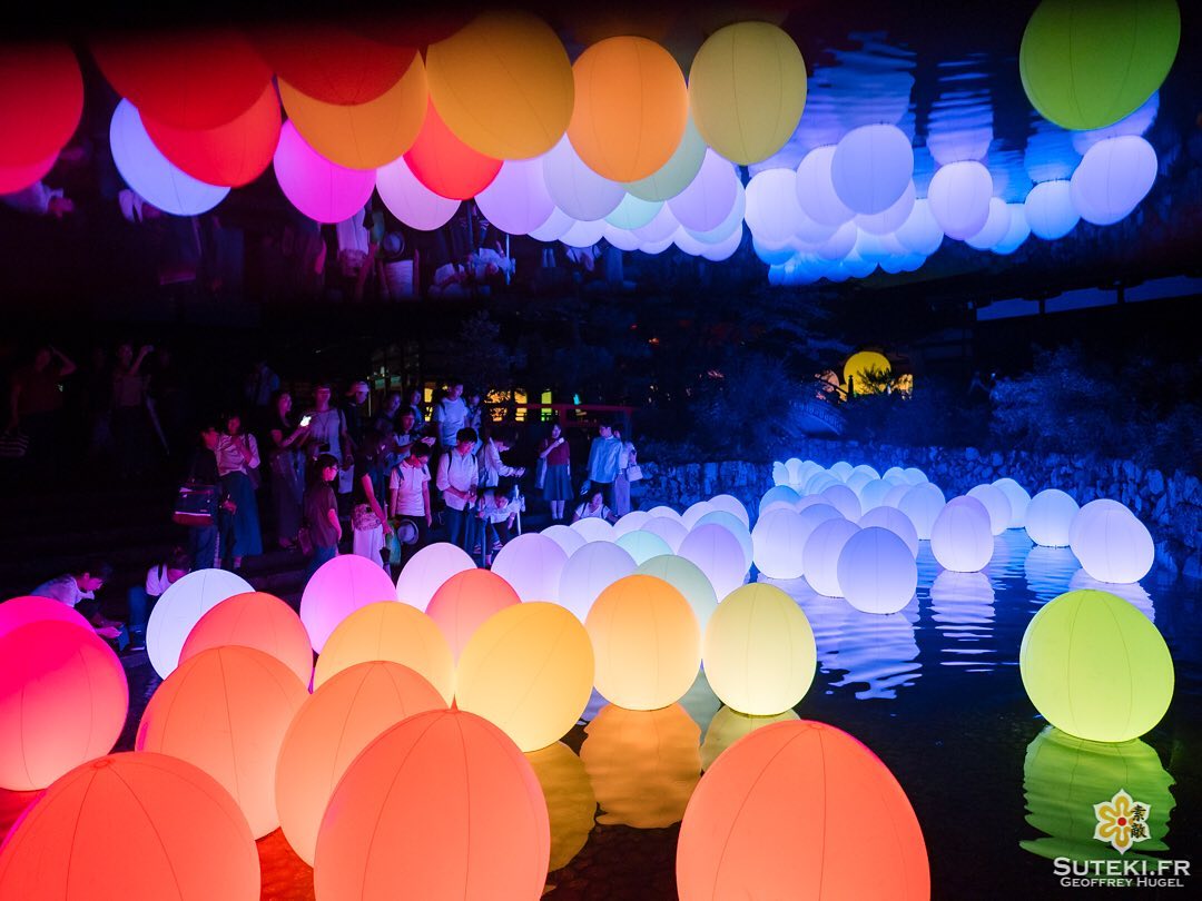 On termine cette petite série sur les superbes illuminations de @teamlab avec la petite rivière où étaient disposés des dizaines d’œufs qui changeaient de couleurs quand les gens les touchaient.

Il m’a fallu pas mal de clichés pour capturer cet aspect multicolore durant les phases de transition !

Et une fois de plus, le reflet en l’air est 100% de ma création, et 0% photoshopé :) Je crois que c’est ma photo favorite de la série (avec les 2 précédentes donc) ! Et vous, laquelle des 3 avez-vous préféré ?
.
.
.
.
.
#nophotoshop #kyoto #kyotogram #japaneseshrine #teamlab #night_shooterz #olympusinspired #olympuscamera #reflection_shots #explorejapan #beautifulkyoto #ilovekyoto #visitjapanjp #discoverjapan #discoverkyoto #そうだ京都行こう #京都 #京都旅 #京都好き #日本を休もう