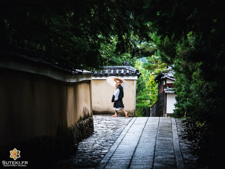 Parapluies, sol qui brille, flaques d’eau, gouttelettes sur les arbres. Un magnifique paysage à Kyoto !