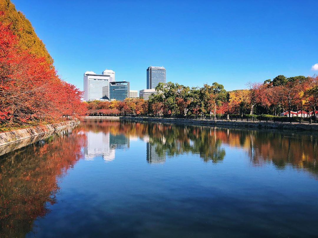 Les belles couleurs d’automne dans le parc du château d’Osaka