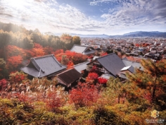 Une jolie vue aérienne d’un temple à Kyoto