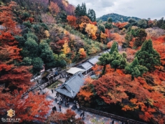 Kiyomizu-dera ne manque pas de points de vue pour profiter des érables !