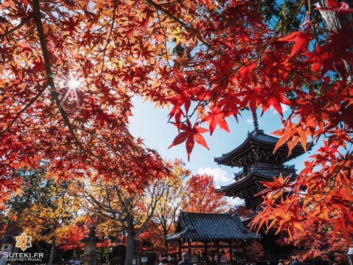 Pagode à Kyoto