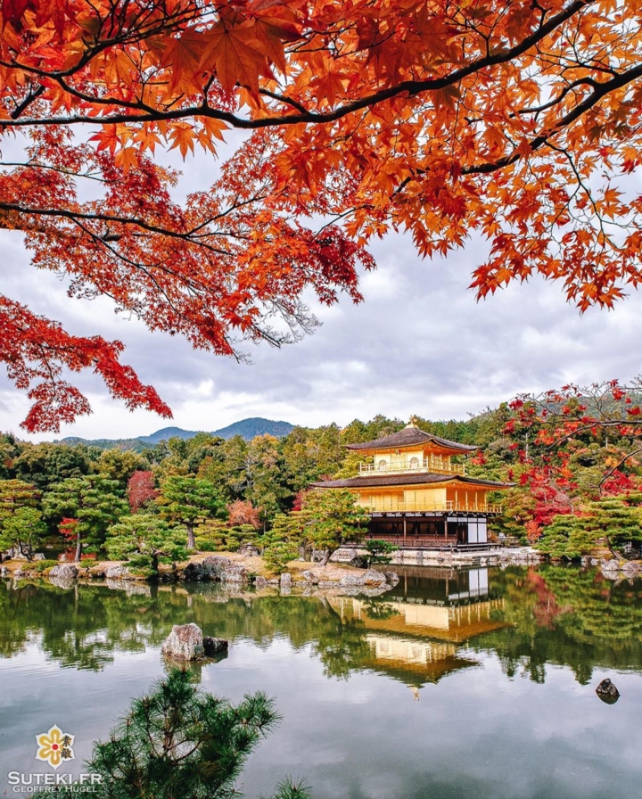 Kinkakuji de Kyoto dévoré par les flammes… de l’automne !