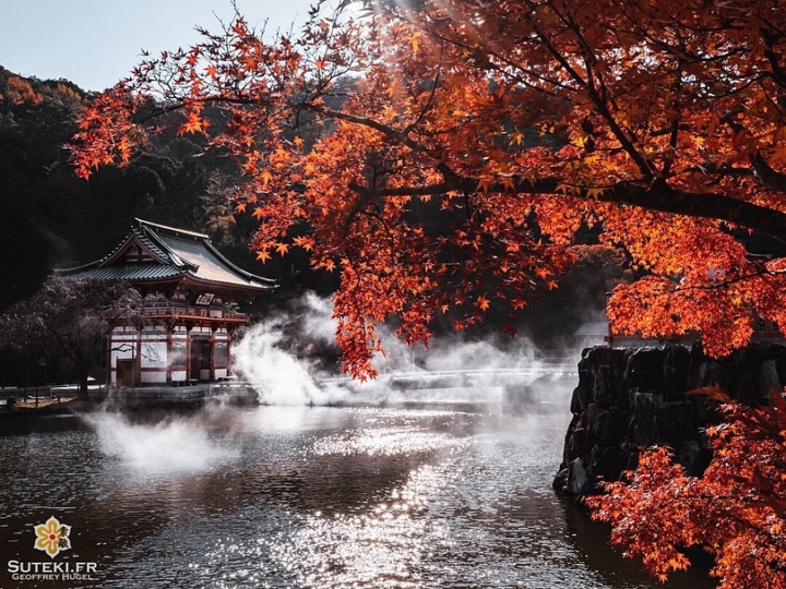 Ultime série de momiji à Osaka