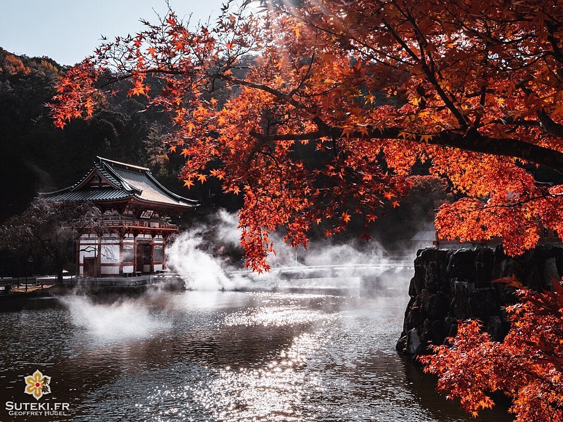 temple en automne à Osaka