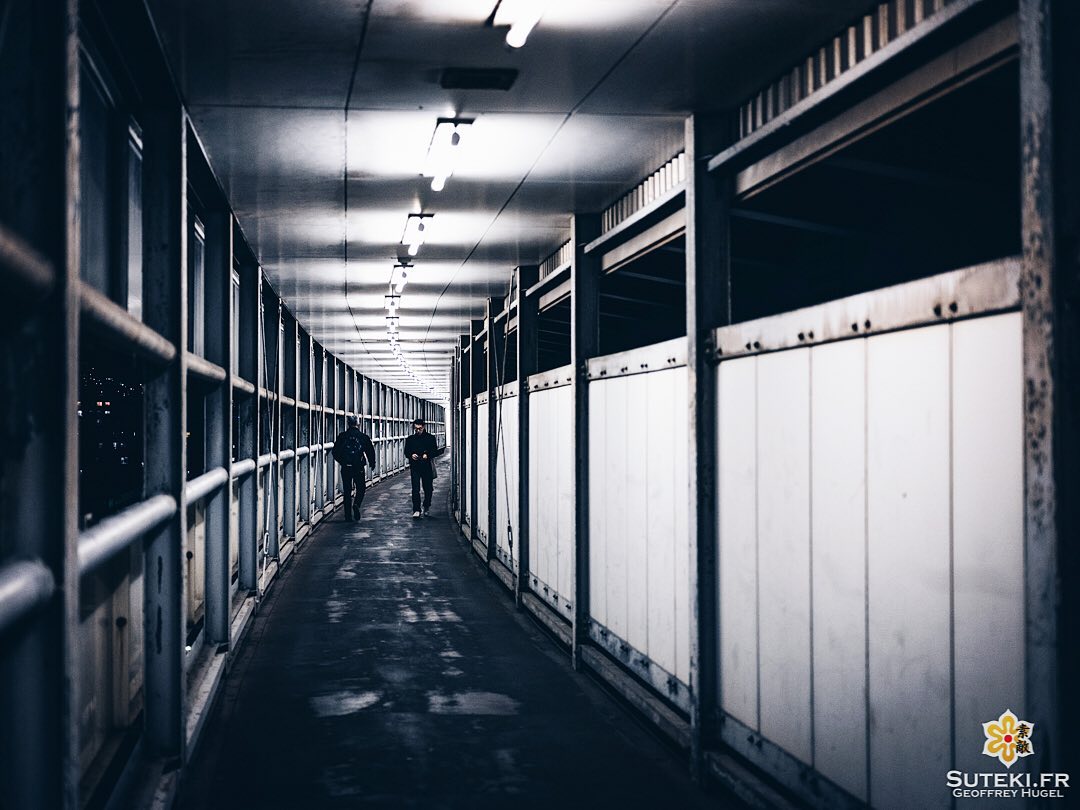 Un simple couloir en apparence, mais avec une ambiance assez cool à la nuit tombée !

Du bonus qui fait plaisir sur le chemin de ce que j’étais allé faire ce jour là !
.
Abonnez-vous pour plus de photos du Japon => @sutekifr
.
#hellofrom Kobe 神戸 🇯🇵
#lovekobe #mysticvibes #moodyphotography #corridor #streetphotography #japanvibes #lr_moments #mysteriousways #discoverjapan #industrycity #fujifilm_xseries #kansai #moody_tones #visitjapan #discoverer #industrycity #lr_vista #TheWeekOnInstagram #CreateExplore #contrasts #everydayjapan #justanormalday