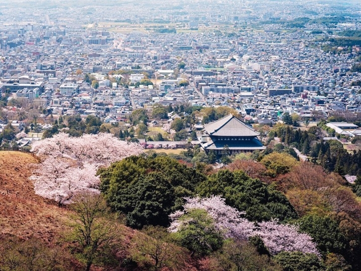 Deux visions totalement opposées du sompteux Todai-ji !

C’est le plus grand bâtiment en bois du monde ! Et pourtant, saviez-vous que cette reconstruction est à priori un tiers plus petite que l’original ?!! Imaginez un peu !

En tout cas, il est clair que c’est l’un des plus impressionnants temple que j’ai pu voir ! Surtout se retrouver seul face à lui ! Wow !! Et vous ? Racontez-moi votre expérience au Todaiji, votre ressenti ! .
#ishootraw #gfx50s #traveltojapan #fujishooters #sakurablossoms #voyagejapon #ancientjapan #paysagemagnifique #pleinlesyeux #auboutdumonde