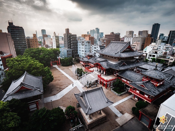 Je me rends compte que je n’ai encore jamais posté de photo de Nagoya, la ville la plus ennuyante du Japon selon ses habitants !

Mais il ne faut pas toujours écouter les locaux, il y a des choses très sympas ! Notamment son plus célèbre temple, le Osu Kannon !

Je vous le présente ici avec un point de vue inédit, trouvé en farfouillant, et dans une ambiance assez sombre, vu qu’il faisait moche ce jour là !

Et sinon j’attaque bientôt les cerisiers, un peu de patience ! 😁
.
#hellofrom Nagoya 名古屋 🇯🇵
#japanesetemple #nodrone #birdsview #discoverjapan #everydayjapan #nagoya #visitjapan #panasonicgh5 #hbouthere #TheWeekOnInstagram #CreateExplore #discoverer #japanvibes #moodyphotography