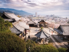 Mais qui a dit qu’il n’y avait rien à faire à Shiga ?! Elle défonce cette préfecture ! 😎

De très jolis temples, un beau petit château, des cerisiers à gogo, et bien sûr le lac Biwa (si si dans le coin !), le plus grand du Japon !! Tout ça à quelques kilomètres de Kyoto seulement !! Ça vous dit pas ? 😁 Allez je vous emmène ! 😉
.
#sakurablossoms #love_flowers #voyagejapon #ancientjapan #partirloin #evasion #paysagemagnifique #découverte #pleinlesyeux #auboutdumonde #sevader