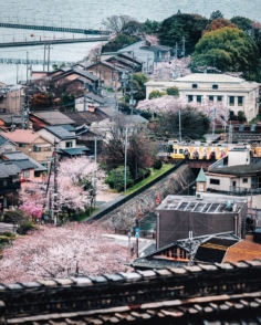 On se fait une petite série dans la série (des sakura) avec quelques trains dans le décor ! 🚃🚃🚃 Celui là était entièrement décoré aux couleurs d’un drama tv, avec donc tout un tas de personnages sur les côtés. Notamment quelques samouraïs ! 
Les japonais sont fans de train donc ça colle très bien ici 😁 On est dans le thème !

Je ne me serai probablement pas intéressé aux trains ailleurs qu’au Japon, ça contamine un peu tout le monde ici je crois haha ! 😅

Vous vous êtes déjà surpris à prendre des photos de train au Japon ?! 😁

#trains_worldwide #urbanview #japantown #gobiwako