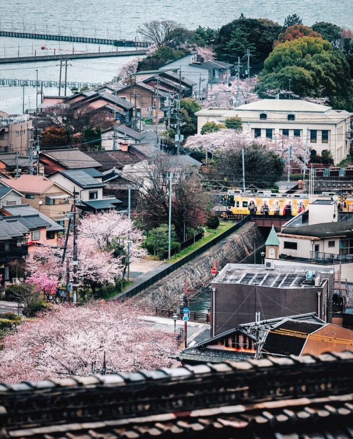 On se fait une petite série dans la série (des sakura) avec quelques trains dans le décor ! 🚃🚃🚃 Celui là était entièrement décoré aux couleurs d’un drama tv, avec donc tout un tas de personnages sur les côtés. Notamment quelques samouraïs ! 
Les japonais sont fans de train donc ça colle très bien ici 😁 On est dans le thème !

Je ne me serai probablement pas intéressé aux trains ailleurs qu’au Japon, ça contamine un peu tout le monde ici je crois haha ! 😅

Vous vous êtes déjà surpris à prendre des photos de train au Japon ?! 😁

#trains_worldwide #urbanview #japantown #gobiwako