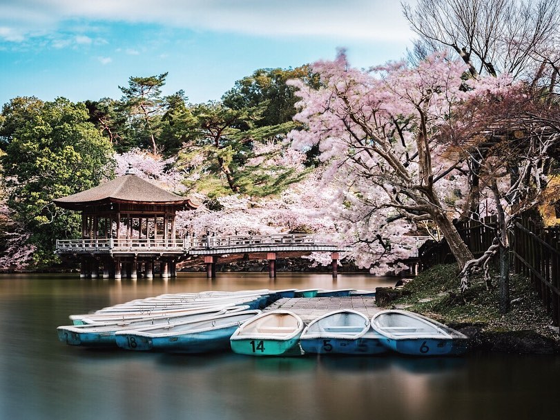 Proche des deux principaux sites de Nara, le Todai-ji et le Kasuga Taisha, on trouve aussi en cherchant bien le très joli Ukimido ! 😍

Une sorte de petit pavillon posé sur un étang, et vous l’aurez compris, bien entouré de nombreux cerisiers ! 🤩

Tôt le matin, les bateaux ne sont pas encore de sortie, et c’est donc un moment très calme dont j’ai pu allègrement profiter ! 😬

Pour la première photo, j’ai opté pour une pose longue (avec trépied et filtre ND) pour obtenir cet effet lissé et soyeux de l’eau 😌

J’attends vos remarques la dessus 😁 Je lis tous vos messages bien entendu, donc n’hésitez pas ! 😎

#sakuratree #cherryblossomtrees #japanesecherryblossom #lesfrancaisvoyagent #voyageursdumonde #springphotography #longexposureshot #cerisierenfleurs #fromjapan #quietplace