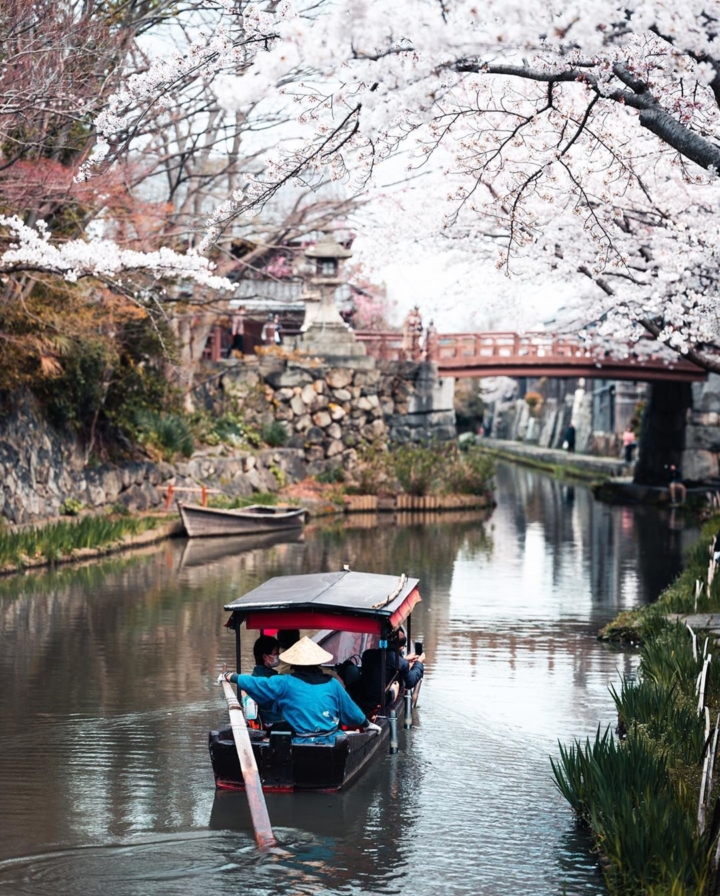 Un petit tour en barque, ça vous dit ? 😌

On remonte le temps et grosse dose de sakura garantie ! 😁

Ils ont pas l’air mais ils sont plutôt longs ces bateaux d’ailleurs ! Quand il fait son demi-tour, c’est giri giri comme on dit ici ! Tout juste !! 😅

Bon et sinon à part ça, vous commencez à avoir envie de venir à Shiga avec tout ce que je vous mets ?! 😁
.
.
.

#goodtiming #voyageaujapon #fromjapan #beautifulspring #shootmirrorless