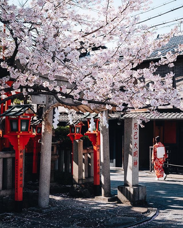 Kyoto vibes
.
.
.
#createexplore #hbouthere #artofvisuals #beautifuldestinations #visualambassadors #speechlessplaces #stayandwander #voyageaujapon #sakuratree #beautifulspring #cerisierenfleurs #fujishooters #frenchtravelers #photojapan #visitjapanjp #passionpassport #fujifilmgfx50s #fromjapan #theweekoninstagram #sopeaceful #magicalplace #quietplace #scenery_lovers #japanesecherryblossom